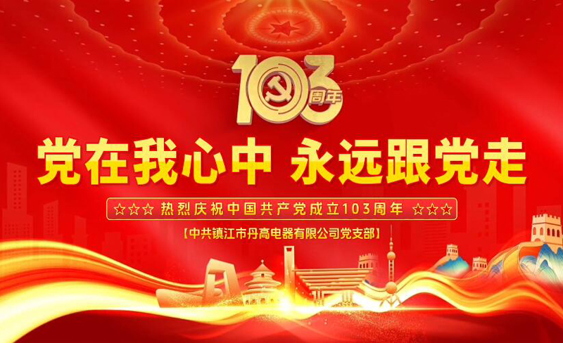 永远跟党走 奋进新征程——丹高电器党支部庆祝中国共产党建党103周年座谈会成功举行