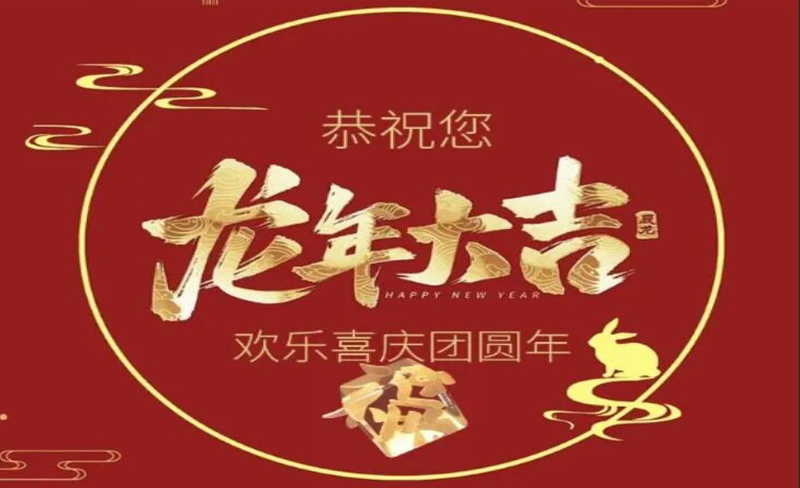 镇江市丹高电器有限公司举办春节庆典一一舞龙与烟花共贺新年 主题活动